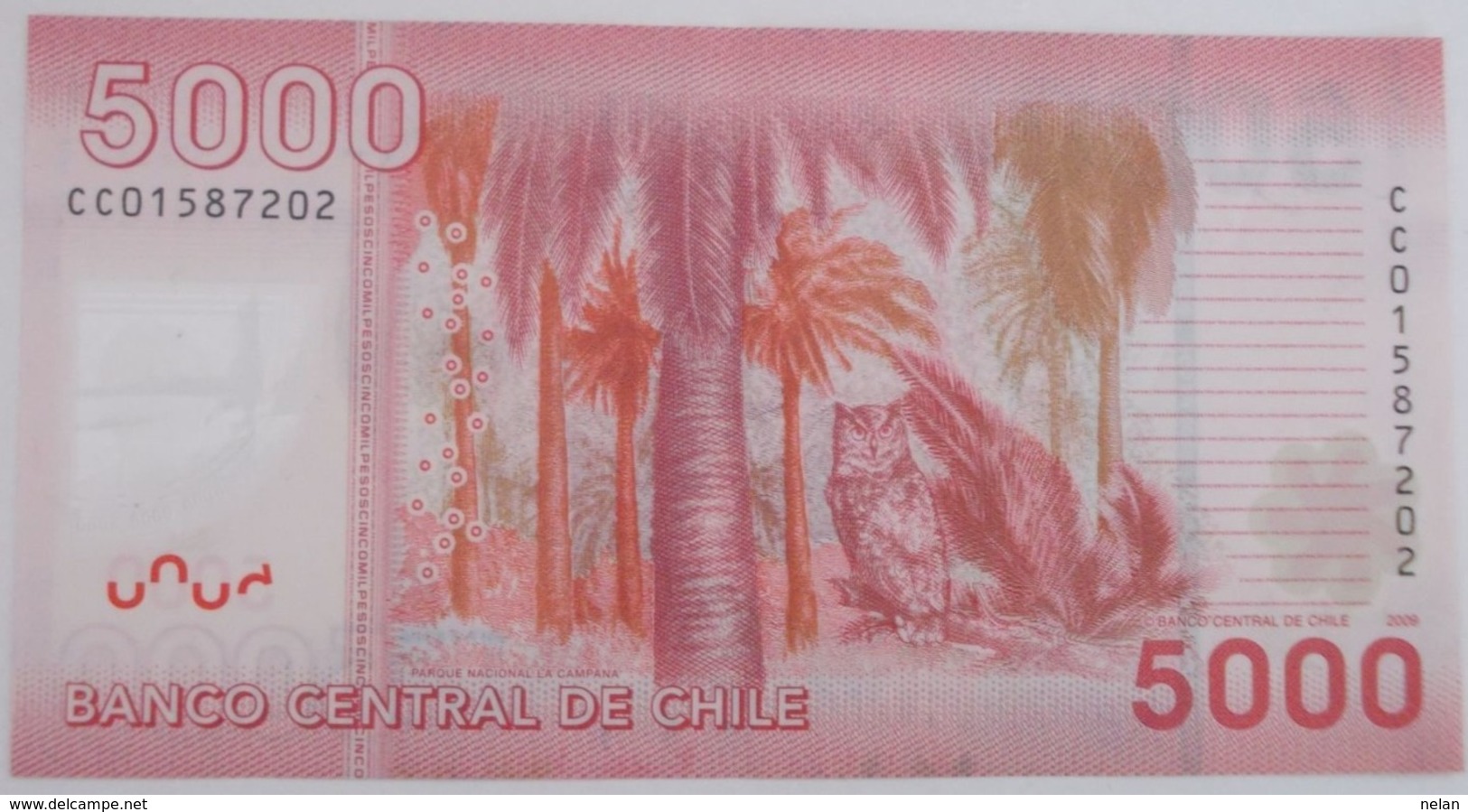CILE 5000 PESOS 2009 P-163a   POLYMER  XF+ - Chile