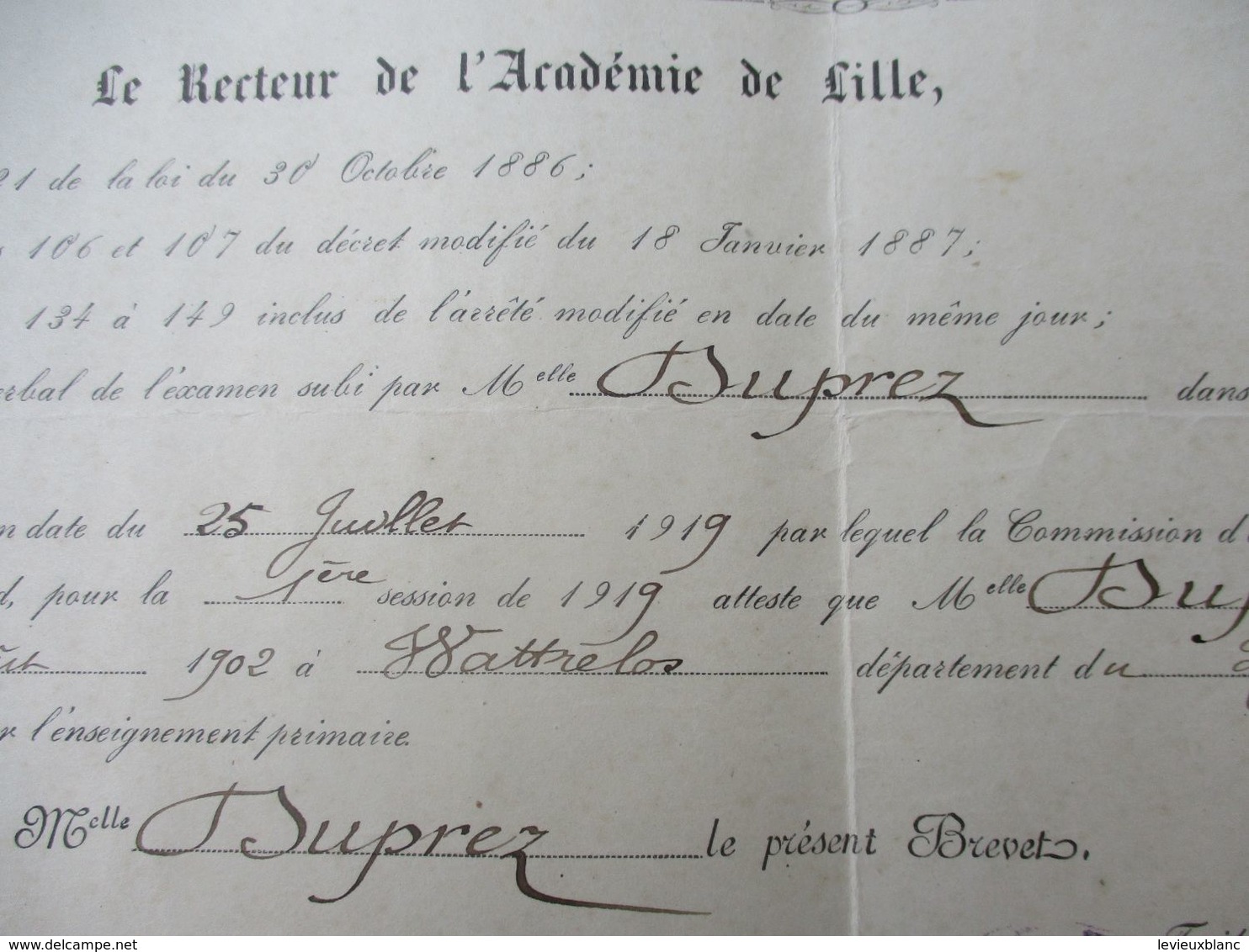 Diplôme D'Enseignement/ Brevet De Capacité Pour L'Enseignement Primaire/Académie De LILLE/Duprez Marthe/1919    DIP253 - Diplome Und Schulzeugnisse