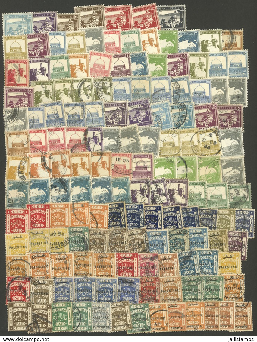 PALESTINE: Lot Of Mint Or Used Stamps, Most Of Fine Quality (a Few May Have Minor Defects). The Expert Will Probably Fin - Palästina