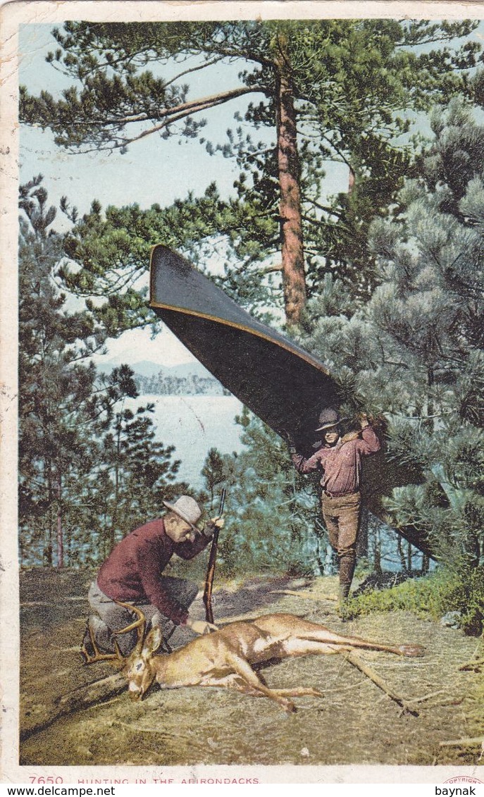 USA136  --  HUNTING IN THE ADIRONDACKS  --  1907  --  STAMP + T ( 5 CENTIMES PORTO ) - Adirondack