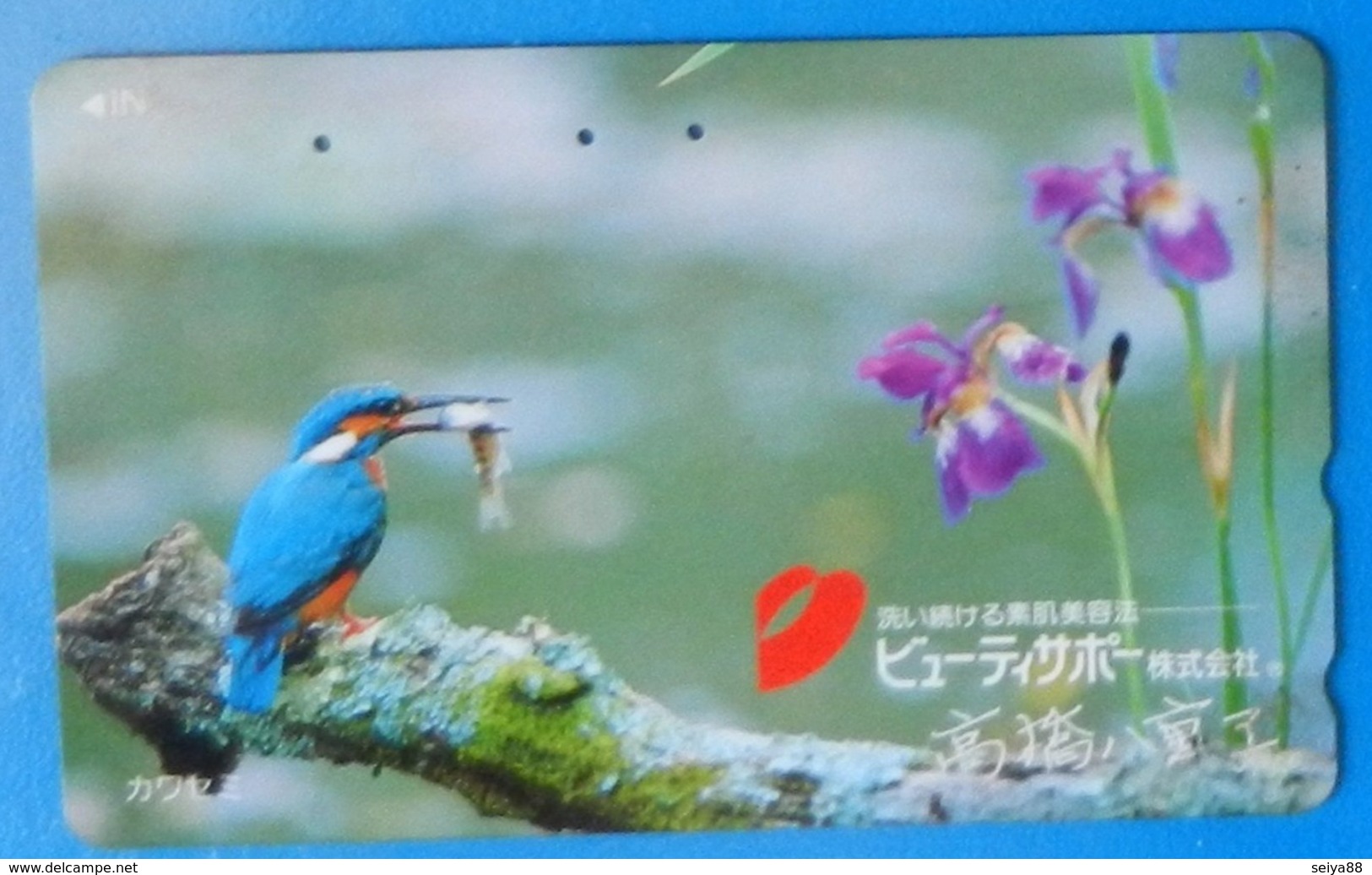Japan Japon Martin Fisher Kingfisher Bird Uccello Aves Pajaro Iris Flower - Autres & Non Classés