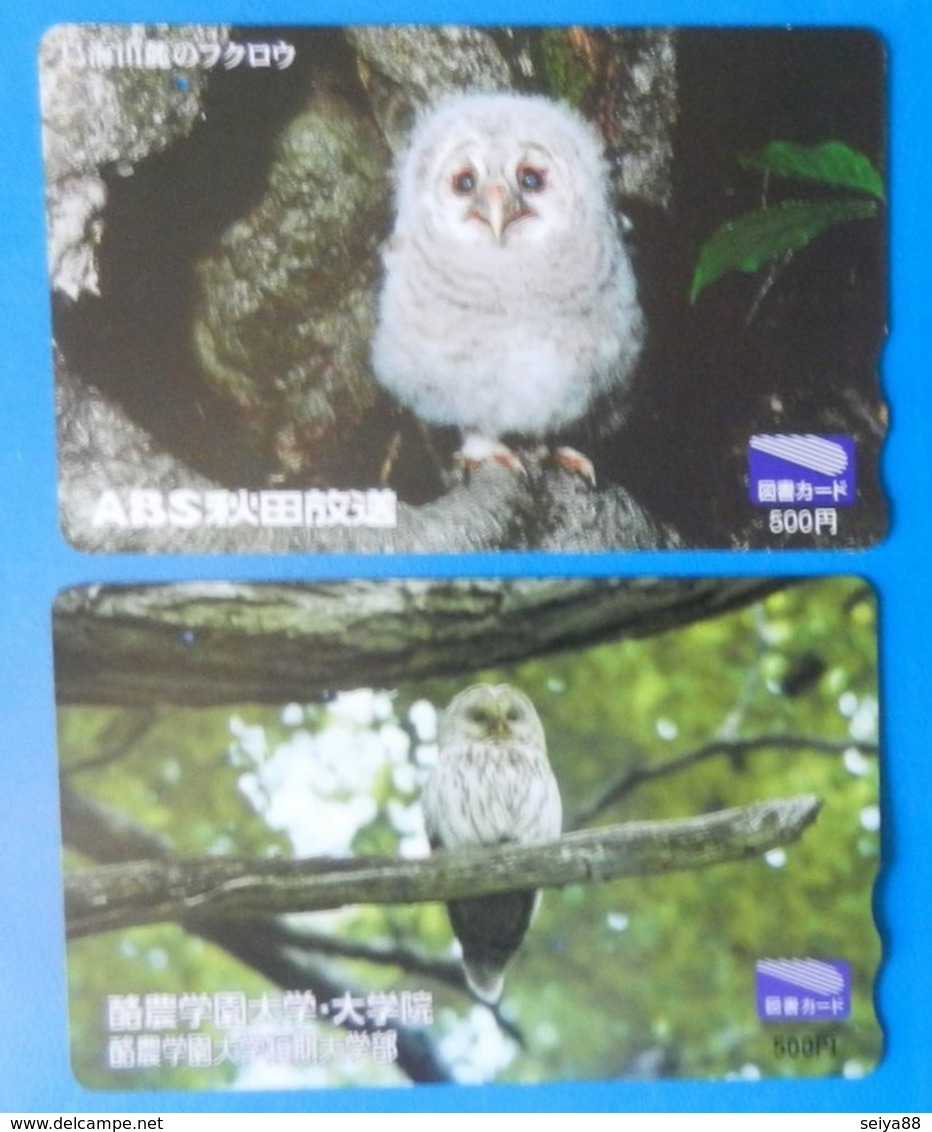 Japan Japon X2 Owl Eule Hibou Buho Bird Uccello Aves Pajaro - Eulenvögel