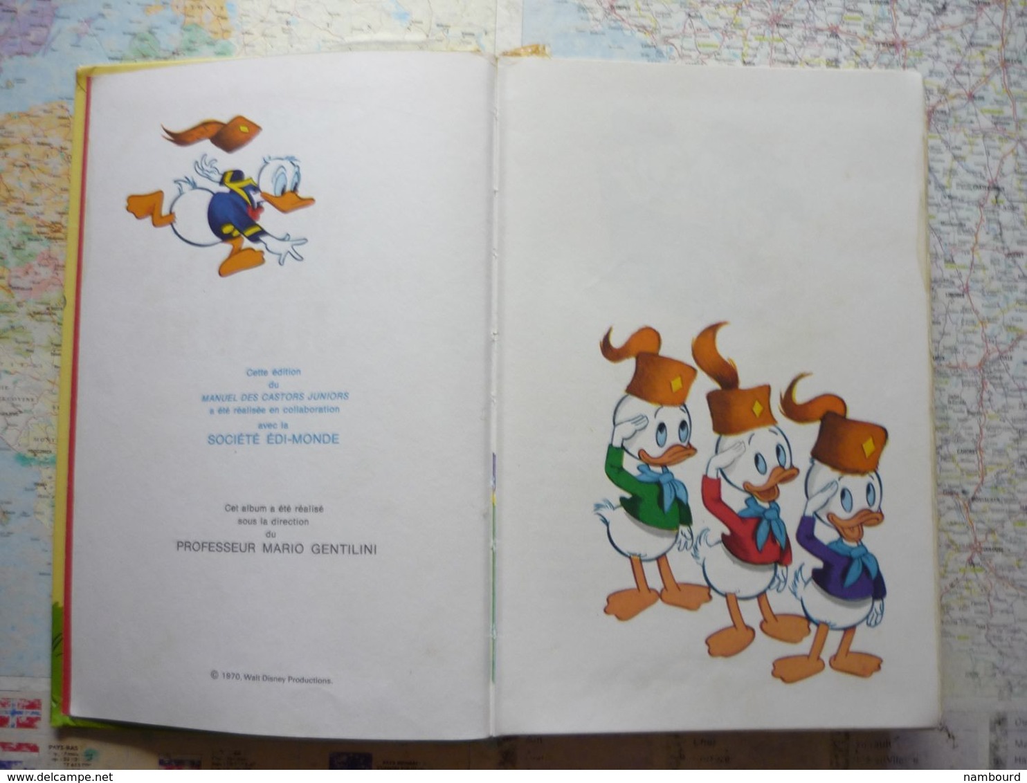 Manuel Des Castors Juniors Hachette 1970 - Disney