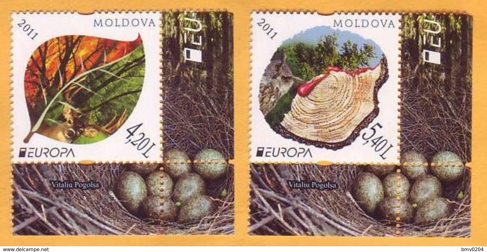 2011 Moldova Moldavie  Europa Cept  Forest, Trees, Flowers, Mushrooms, Fauna 1v Mint - 2011