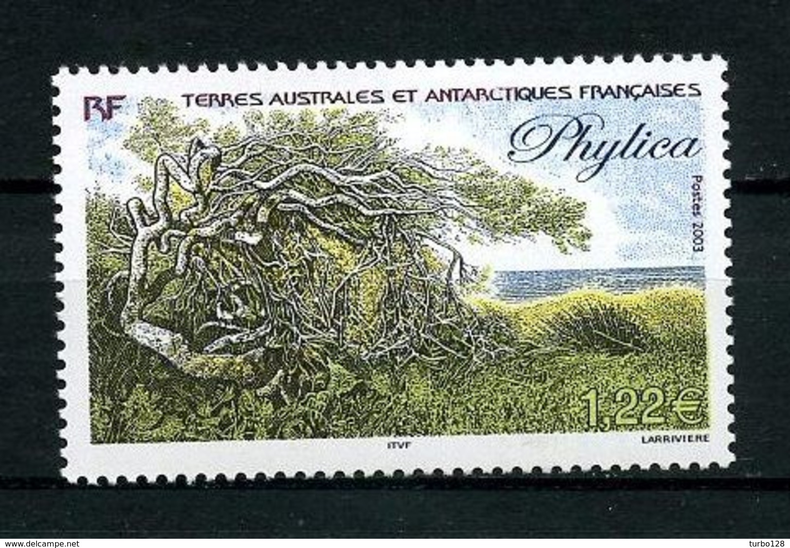 TAAF 2003  N° 363 ** Neuf  MNH Superbe C 5 € Flore Antarctique Phylica Flora Arbres Trees - Nuovi