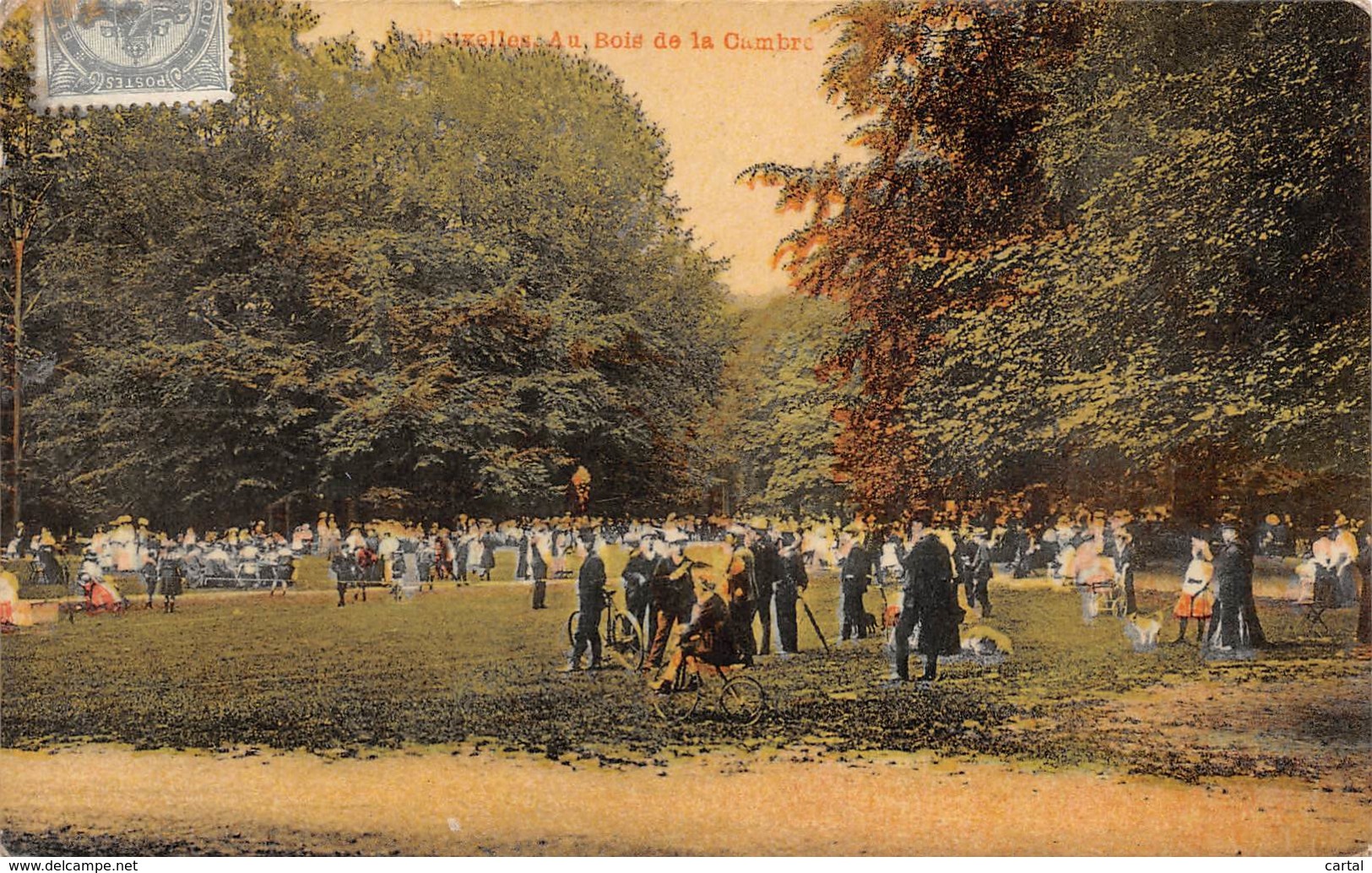 BRUXELLES - Au Bois De La Cambre - Foreste, Parchi, Giardini