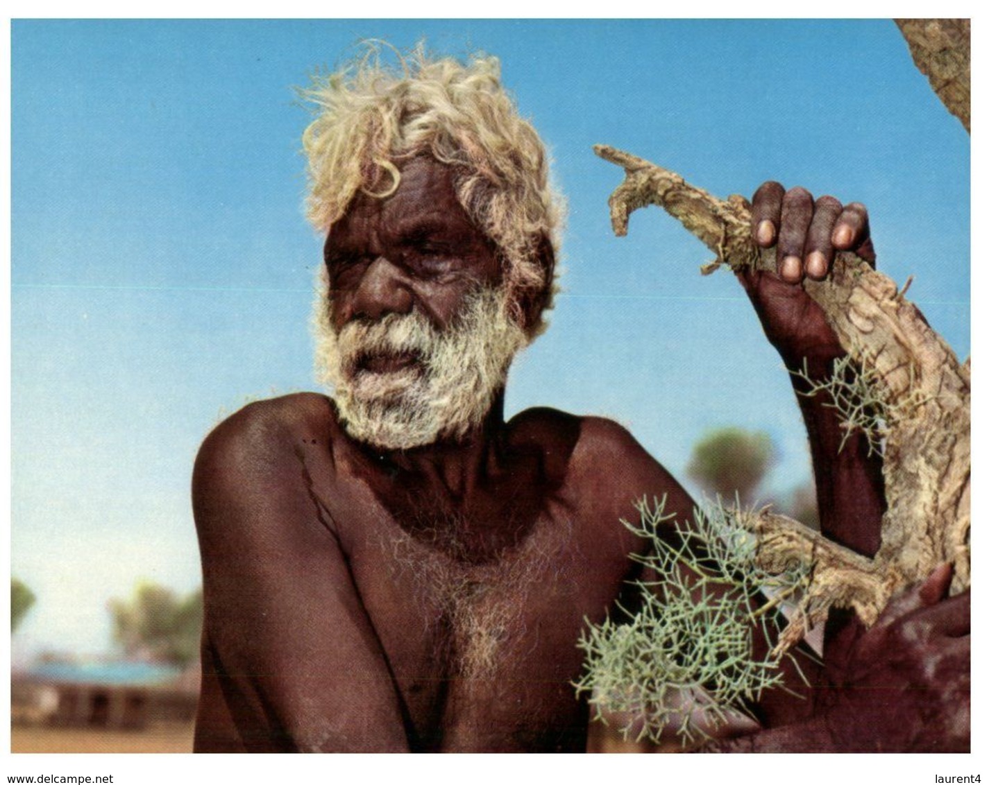 (B 16) Australia - Aboriginal Older Men - Aborigènes