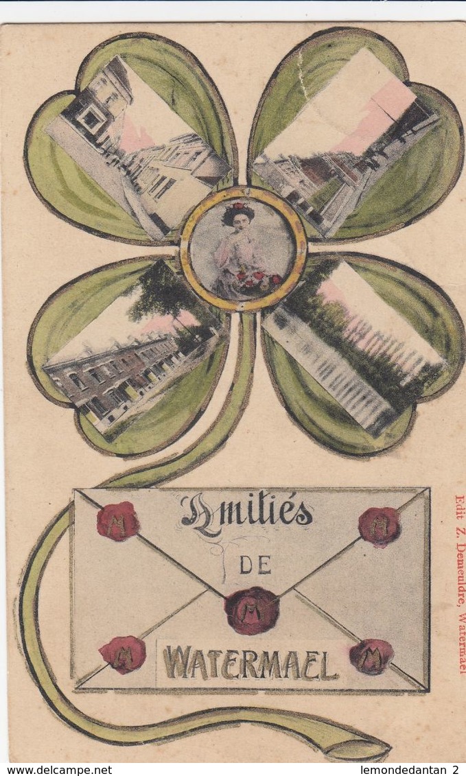 Amitiés De Watermael (pas Une Carte Système) - Watermael-Boitsfort - Watermaal-Bosvoorde