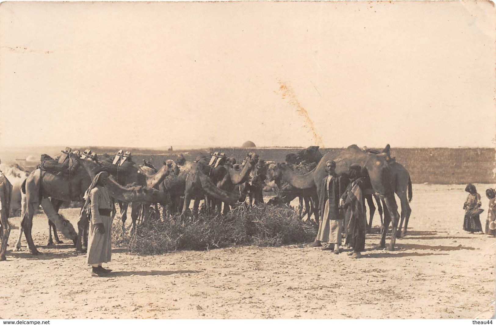 ¤¤  -   SYRIE   -   ALEP   -  Carte-Photo   -   Halte De Chameaux    -  ¤¤ - Syria