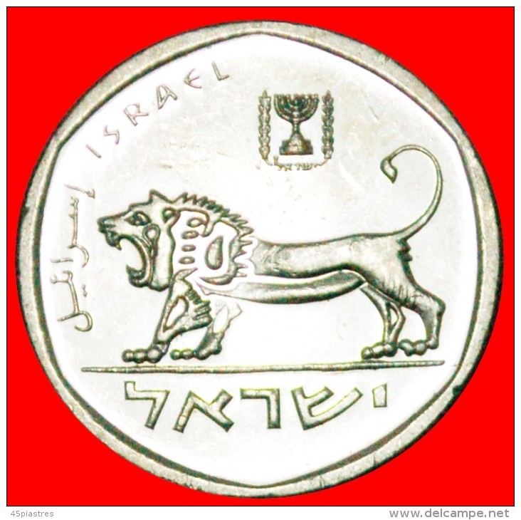 * LION: PALESTINE (israel) ★ 1/2 SHEKEL 5740 (1980) MINT LUSTRE! LOW START&#9733; NO RESERVE! - Autres – Asie