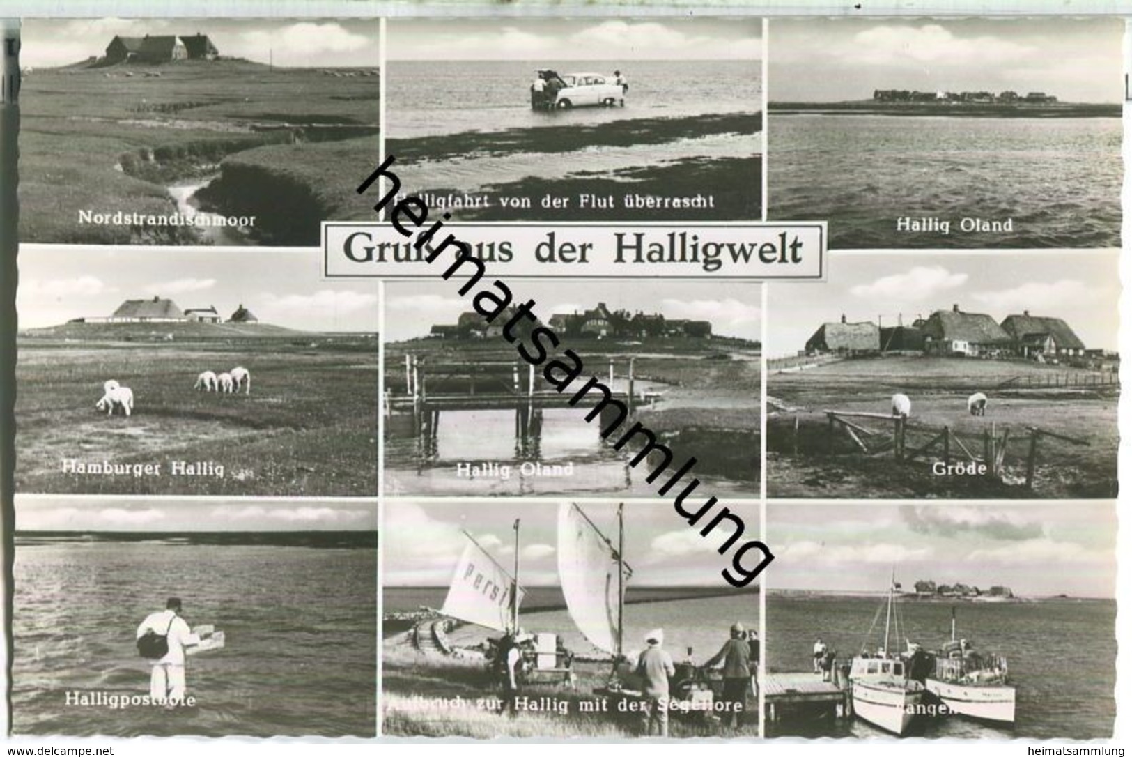 Halligwelt - Verlag Fred. Lagerbauer & Co. Hamburg - Halligen