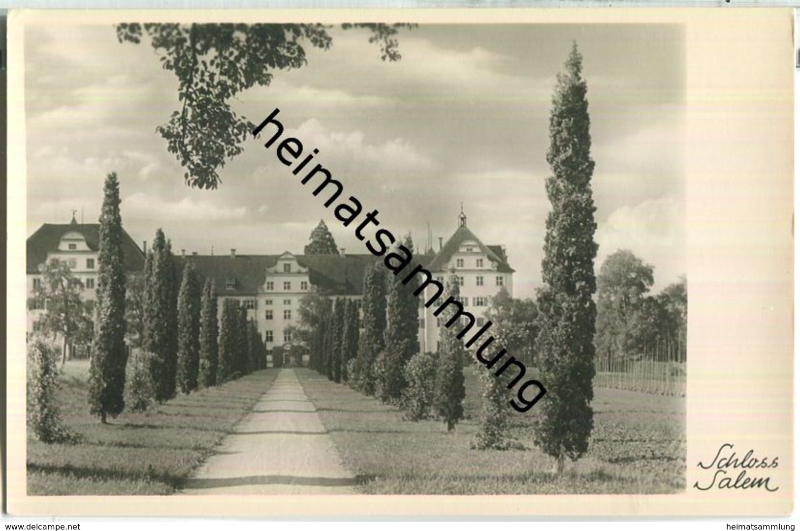 Salem - Schloss - Foto-Ansichtskarte - Verlag Lauterwasser Überlingen - Salem