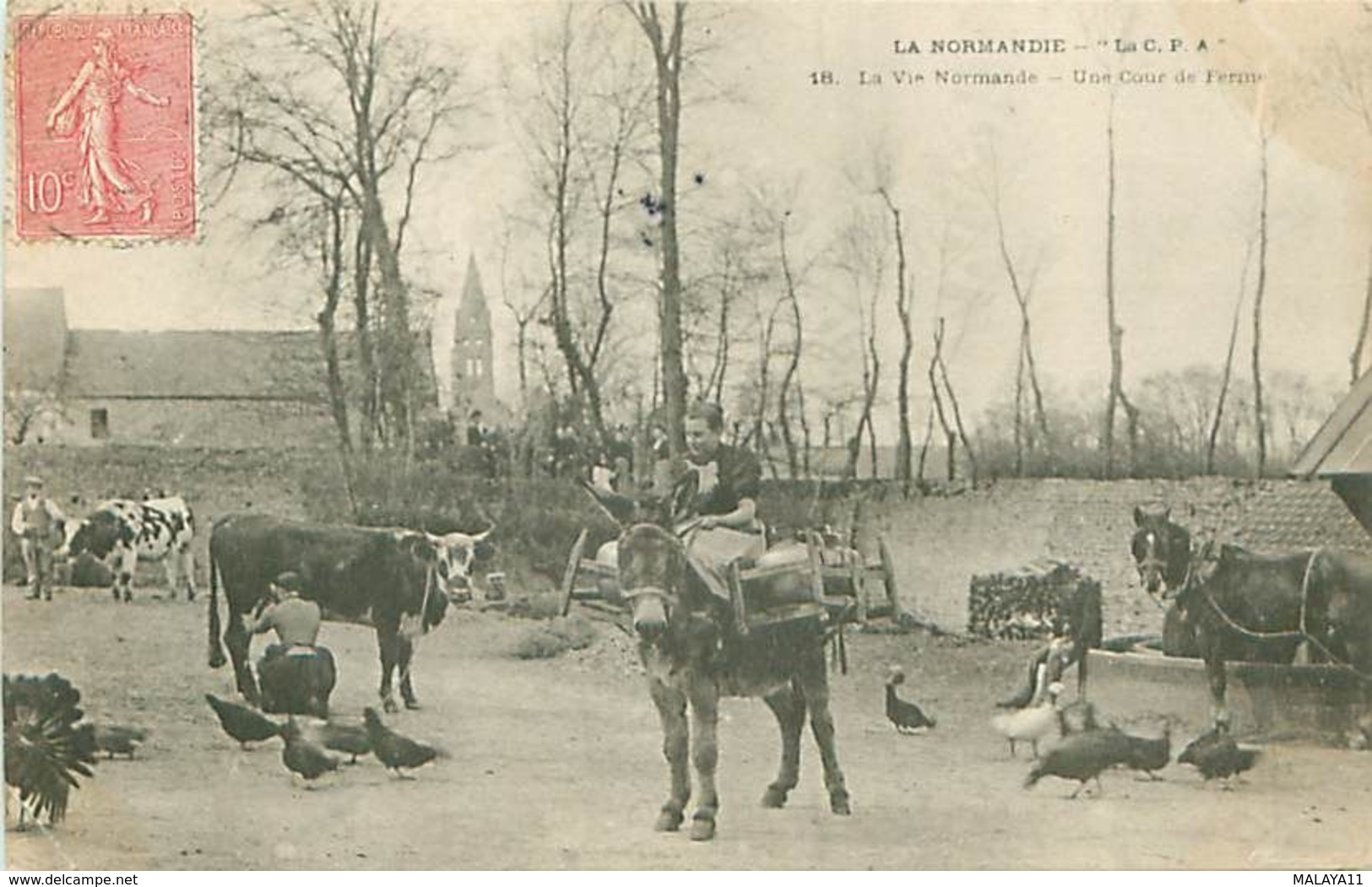 NORMANDIE (76) - "LA C.P.A" - LA VIE NORMANDE - UNE COUR DE FERME - Basse-Normandie