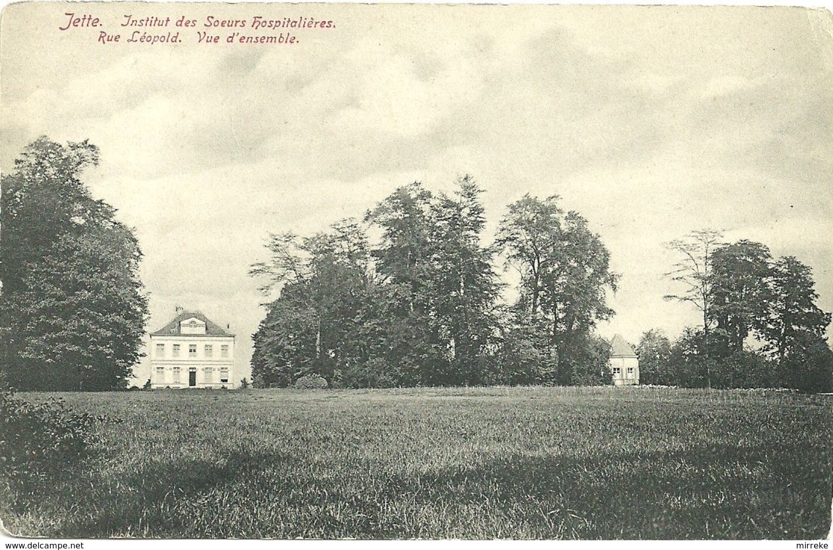 JETTE  -  Institut Des Soeurs Hospitalières - Rue Leopold. Vue D'ensemble. - Jette