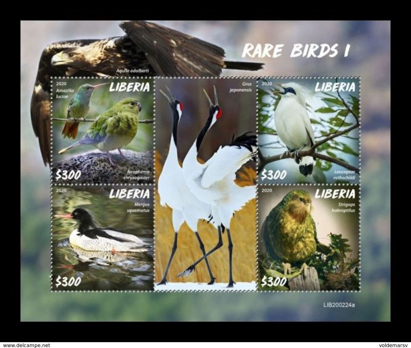 Liberia 2020 Mih. 7733/36 Fauna. Rare Birds I MNH ** - Liberia