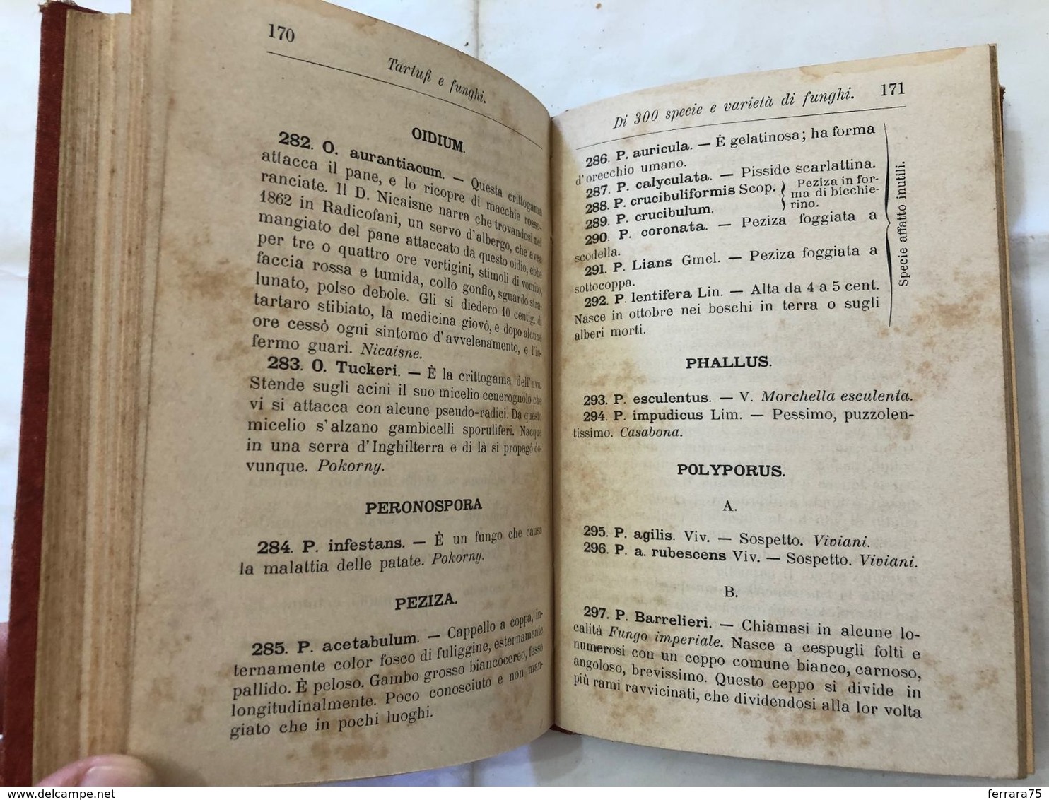 MANUALI HOEPLI FOLCO BRUNI TARTUFI E FUNGHI 1891. - Andere & Zonder Classificatie