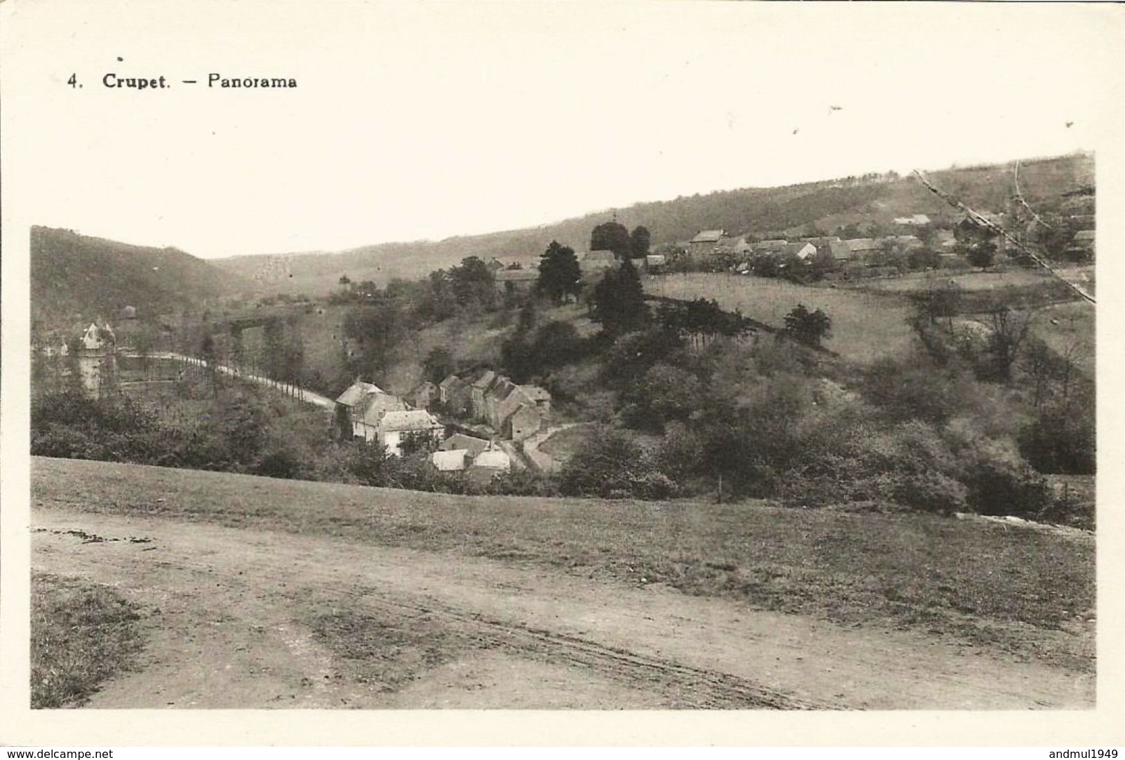 CRUPET - Panorama - N'a Pas Circulé - Maison Pierret Duhard, Crupet - Assesse