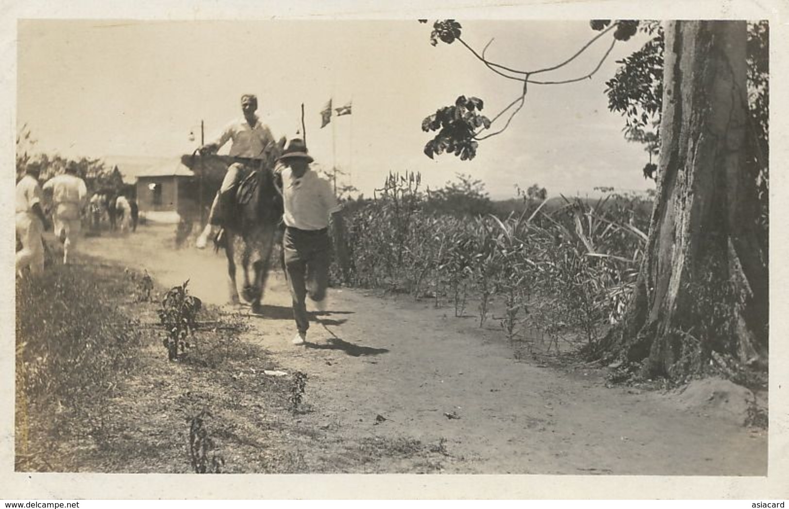 Real Photo Pato Gold Mines. Mines Or .  American Worker Horse Riding - Colombie