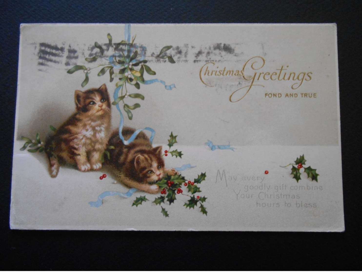 Petits Chats Jouant Avec Du Houx Sous Bouquet De Gui - Christmas Greetings - Série 4529 - Katzen