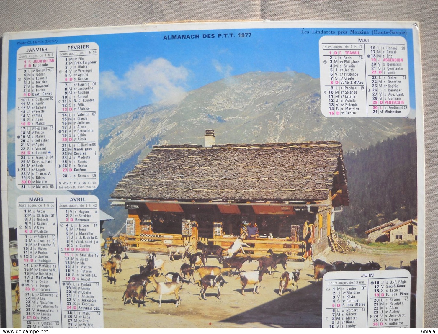 1620 Calendrier Du Facteur PTT 1977   Illustration Lindarets Près De Morzine   Chèvres, - Formato Grande : 1971-80