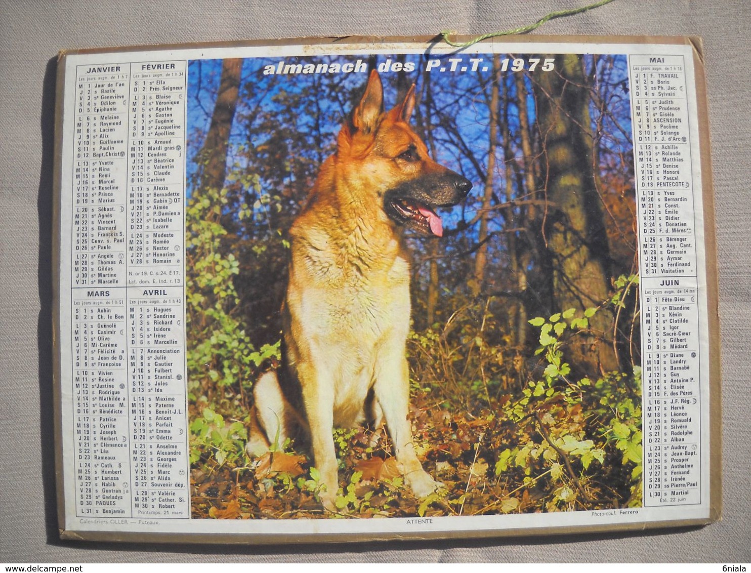 1622 Calendrier Du Facteur PTT 1975   Illustration Chien Loup , Petite Fille Et Son Chat - Grand Format : 1971-80