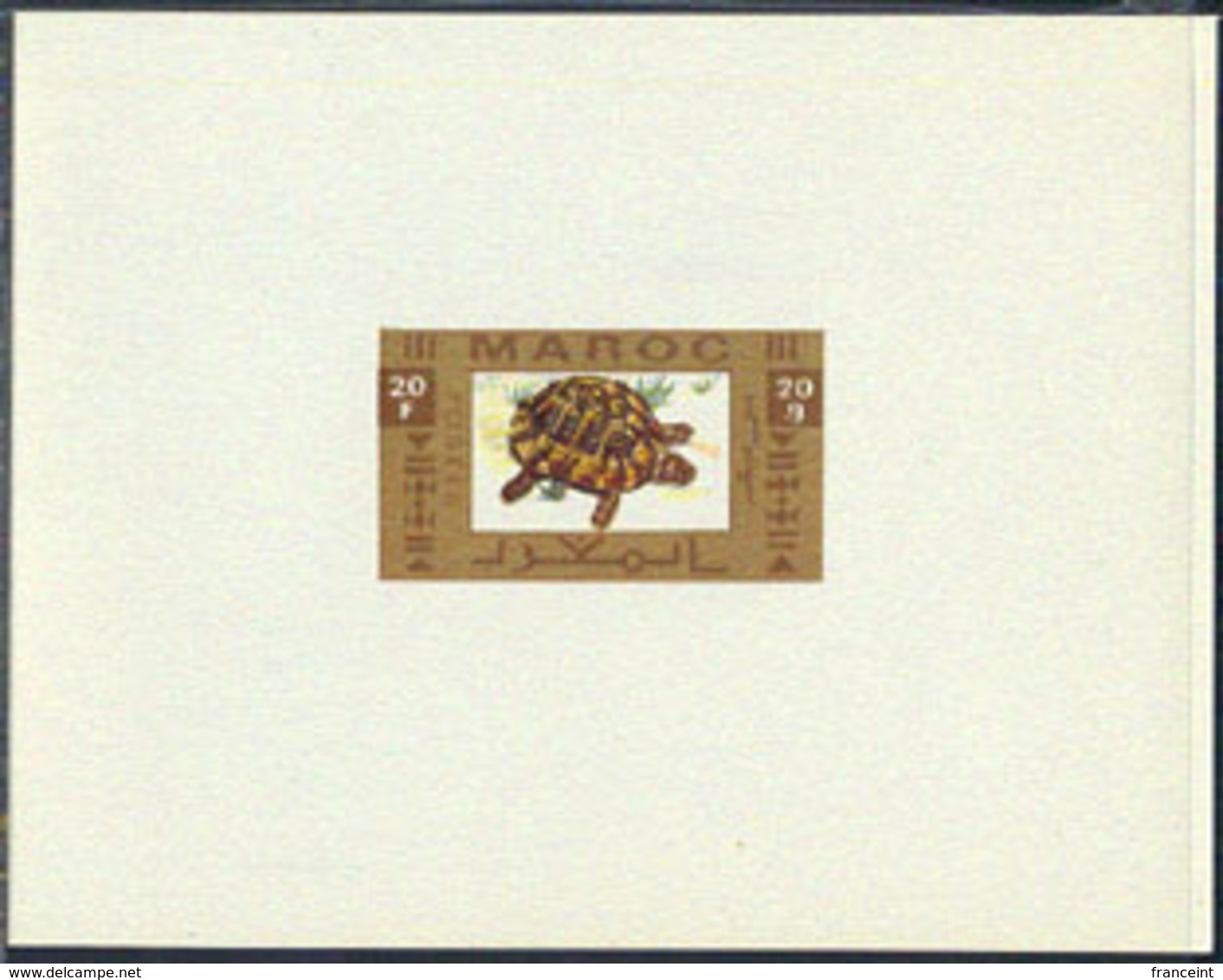 MOROCCO (1956) Turtle. Set Of 3 Essays For Unissued Stamps In Color And In The Format Of Deluxe Sheets. - Marocco (1956-...)