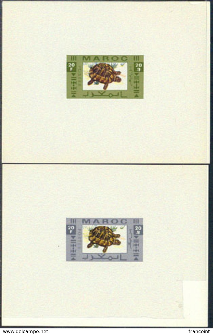 MOROCCO (1956) Turtle. Set Of 3 Essays For Unissued Stamps In Color And In The Format Of Deluxe Sheets. - Marocco (1956-...)