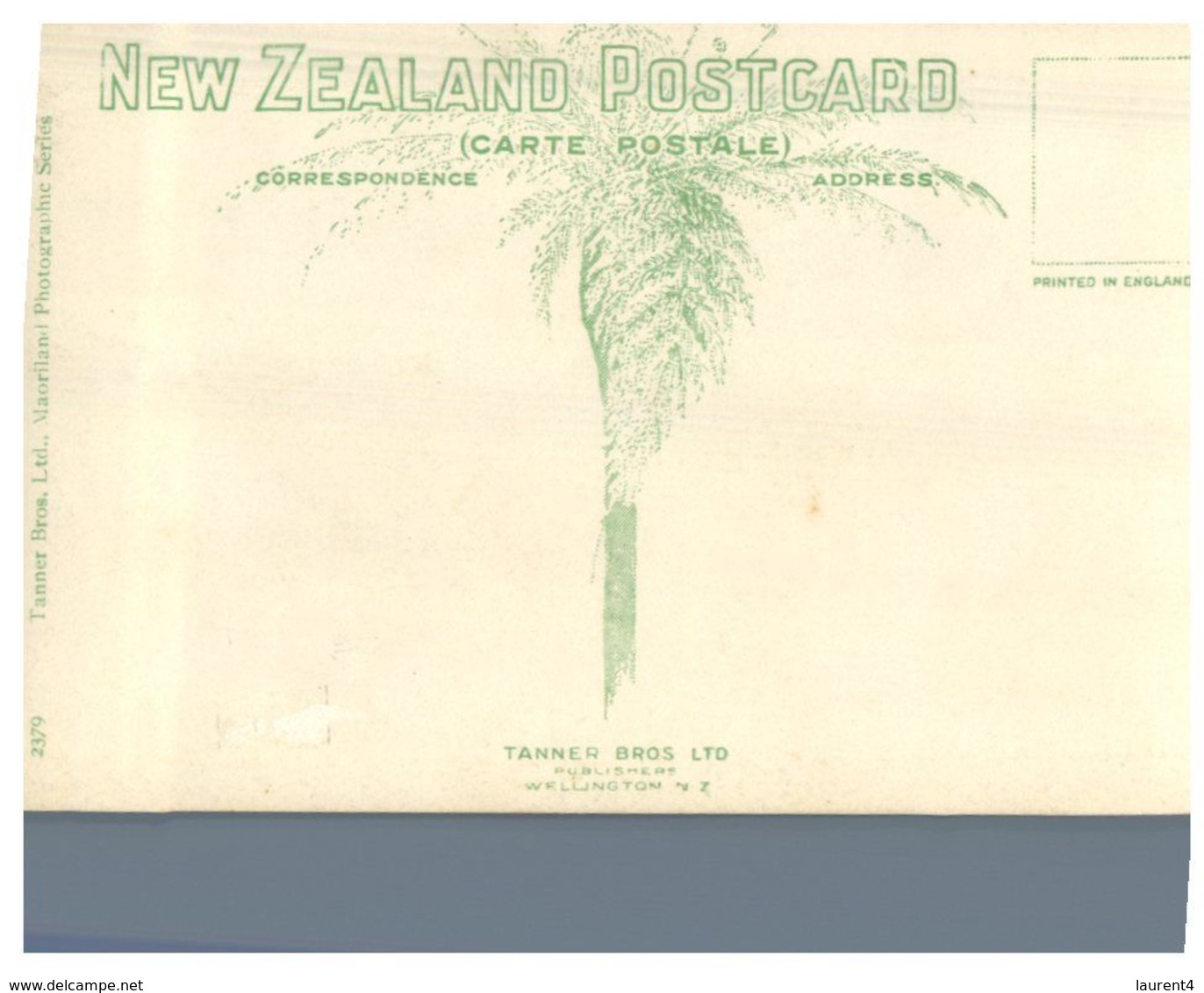 (B 25) Older Postcard - New Zealand - Mount Egmont (Nº 2379) - Nouvelle-Zélande