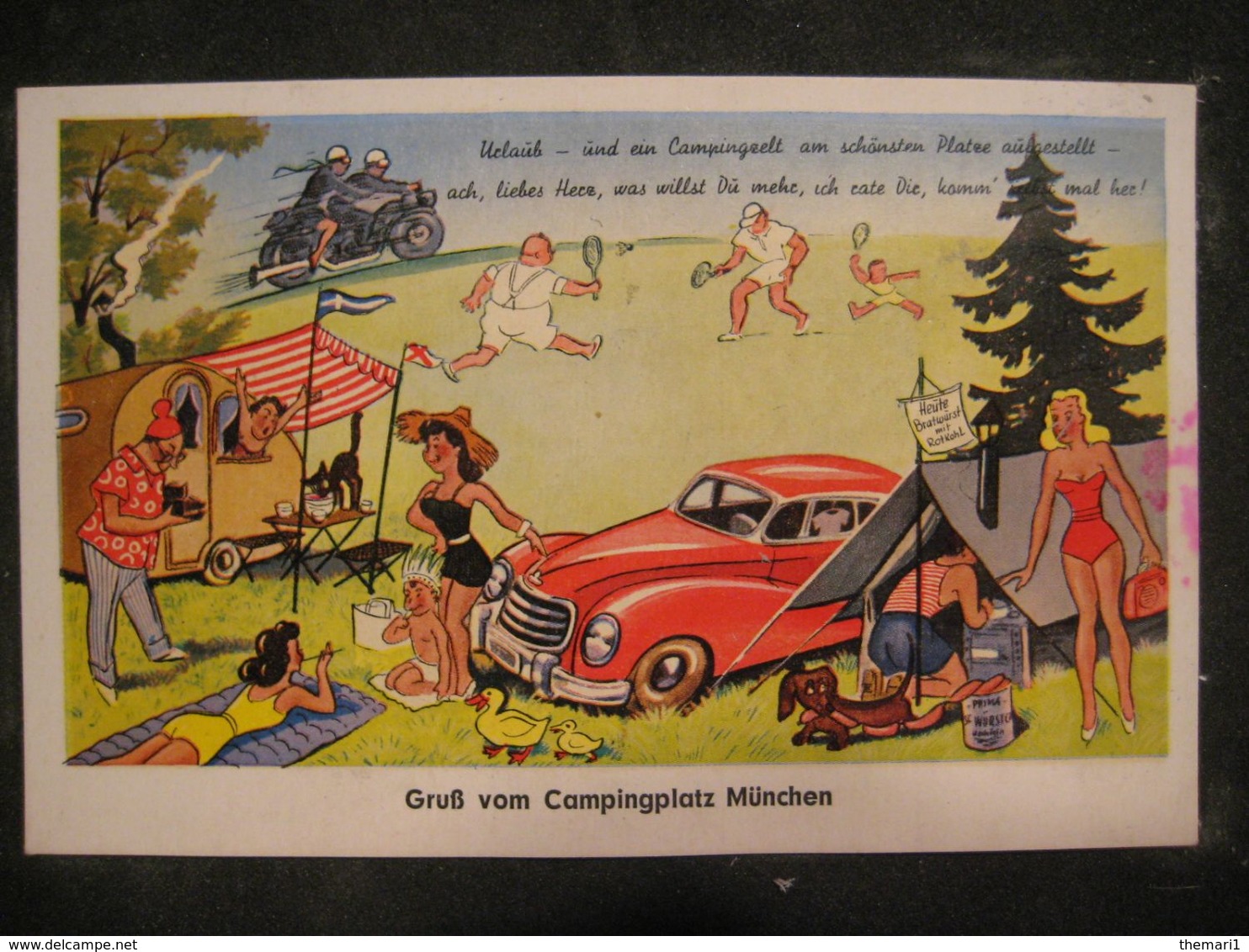 SCOUT SCOUTISMO TENDA CAMPING CANE DOG CHIEN BASSOTTO AUTO EPOCA MOTO PIN UP - Scouting