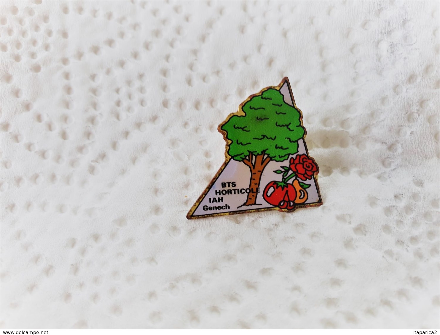 PINS BTS HORTICOLE IAH GENACH / Arbre Fruits Fleurs  Département 59 Nord   / 33NAT - Autres & Non Classés