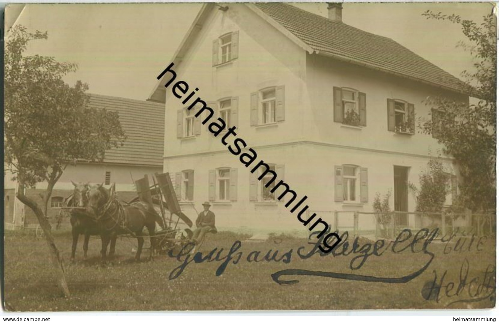 Vöhringen - Illerzell - Pferdegespann - Foto-Ansichtskarte - Vöhringen