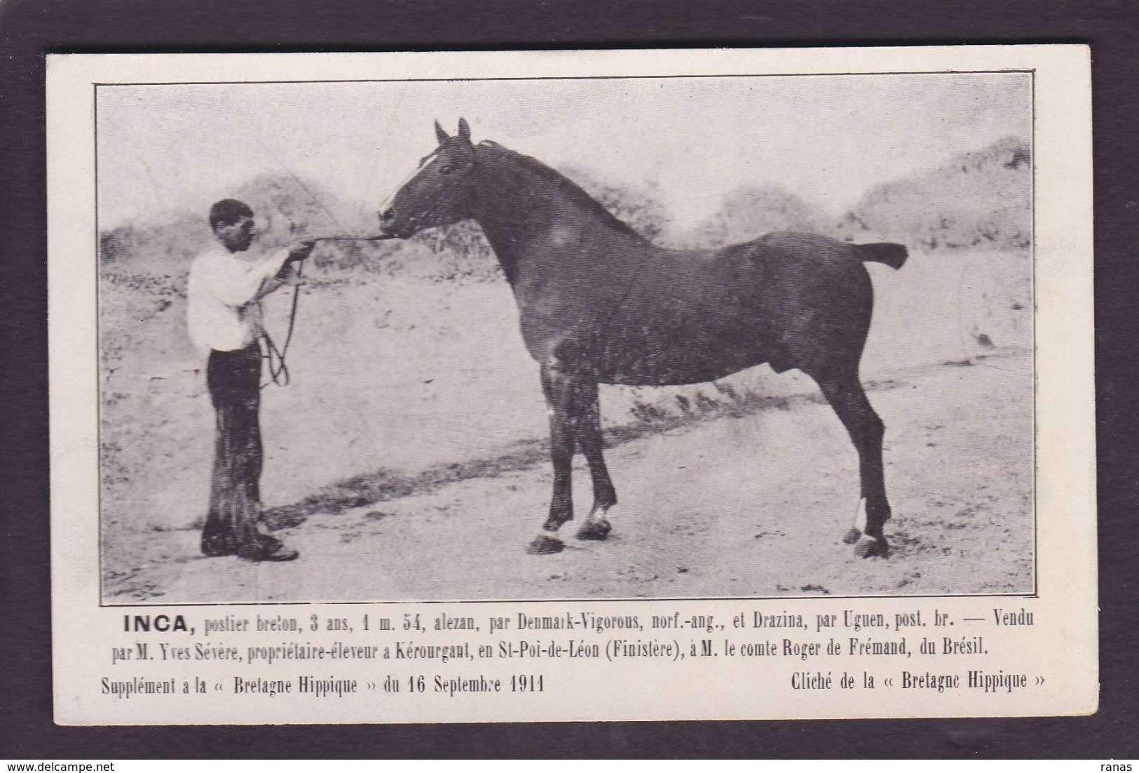 CPA Hippisme Cheval Horse Bretagne Non Circulé Finistère Kérourgan Saint Pol De Léon Brésil - Hípica