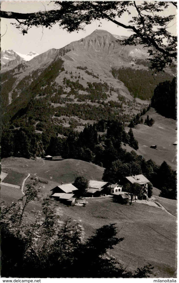 Christl. Erholungsheim "Flüeli" Valzeina (Prät.) (10829) * 20. 6. 1951 - Valzeina