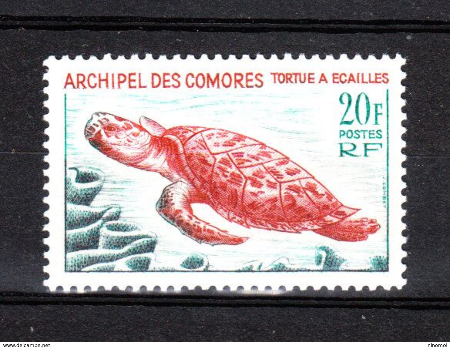 Comores  - 1966. Tartaruga Marina. Sea Turtle. High Values Of The Series. MNH, Fresh - Tortugas