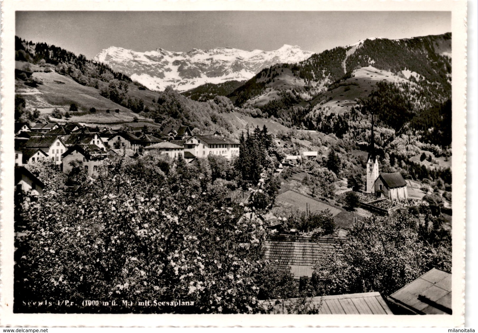 Seewis I. Pr. Mit Scesaplana (4) * 20. 6. 1955 - Seewis Im Prättigau