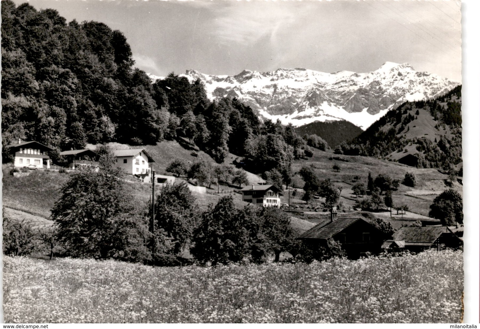 Seewis - Terlischa Mit Scesaplana (10158) * 31. 5. 1966 - Seewis Im Prättigau