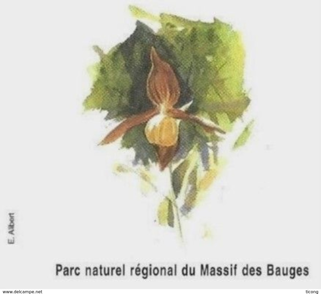 FLEUR L ORCHIDEE DU PARC NATUREL DU MASSIF DES BAUGES SAVOIE FRANCE, PAP ENTIER POSTAL FLAMME NEOPOST 2008, A VOIR - Orchideen