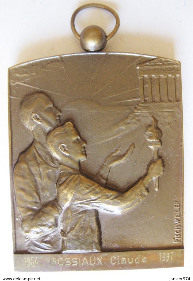 Médaille Province De Hainaut, Attribué à Gossiaux 1954 - 1987, Par Fischweiler - Sonstige & Ohne Zuordnung