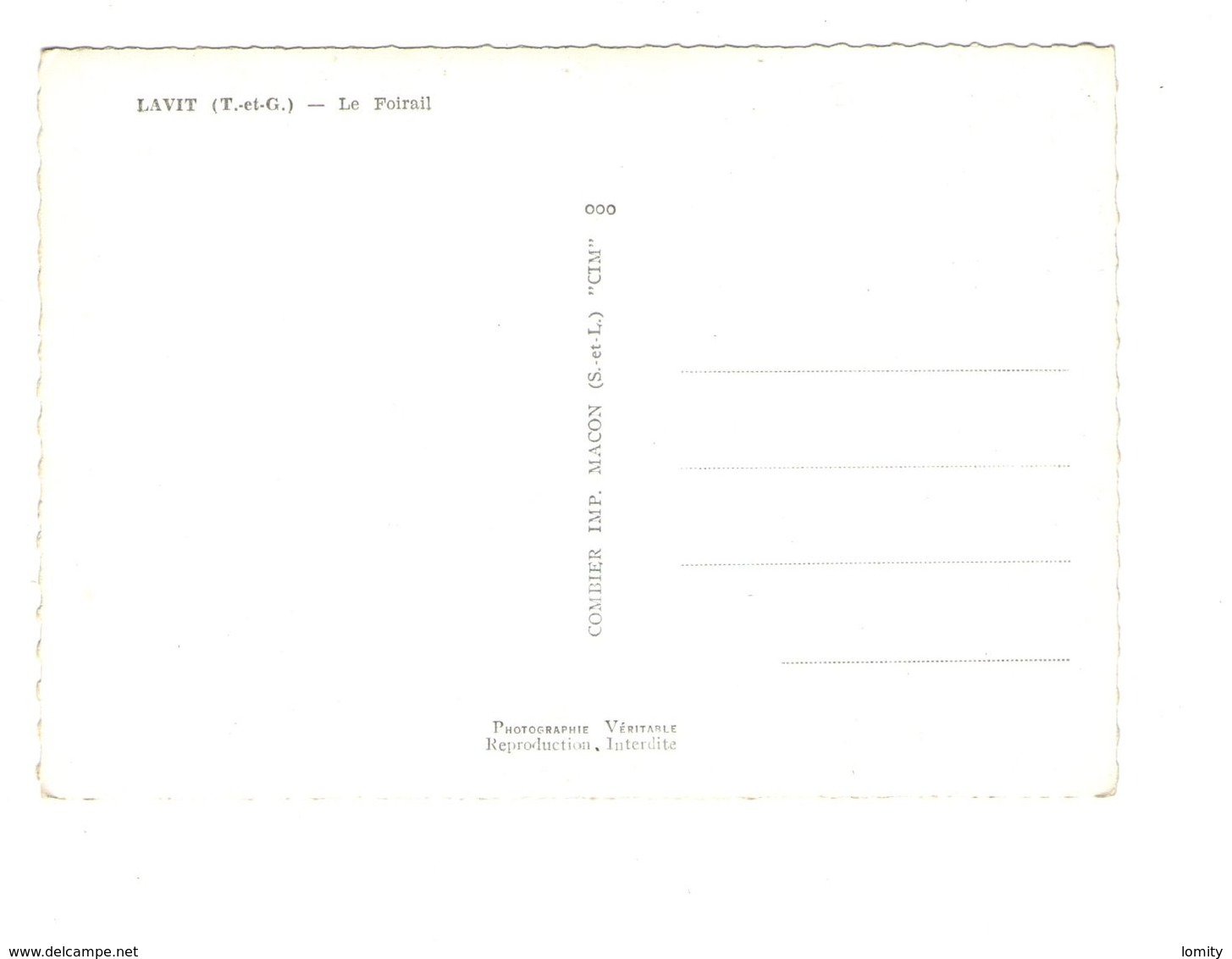 82 Lavit Le Foirail CPSM GF - Lavit