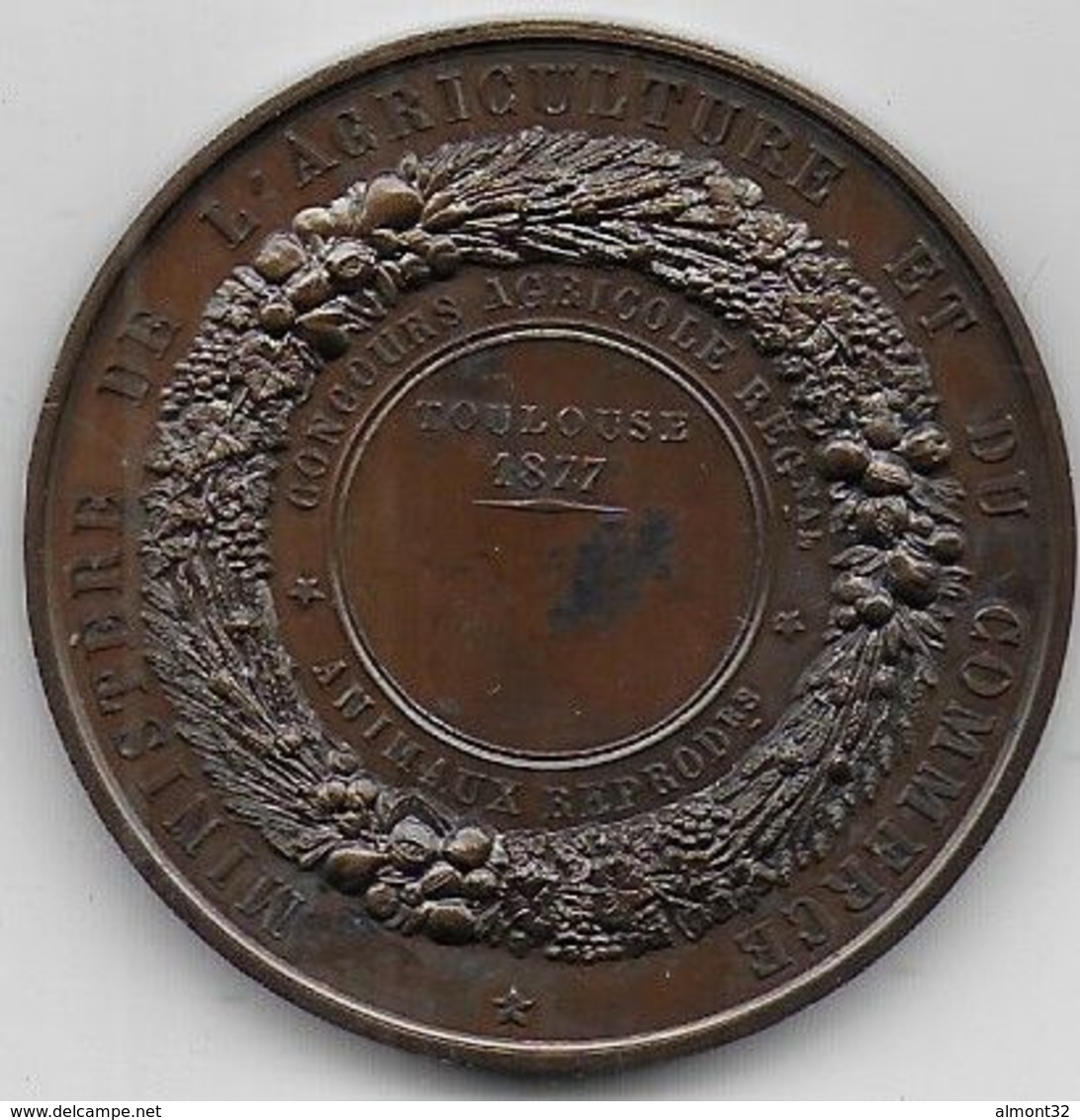 Médaille En Bronze Concours Agricole TOULOUSE  1877 - Animaux Reproducteurs - Professionals / Firms