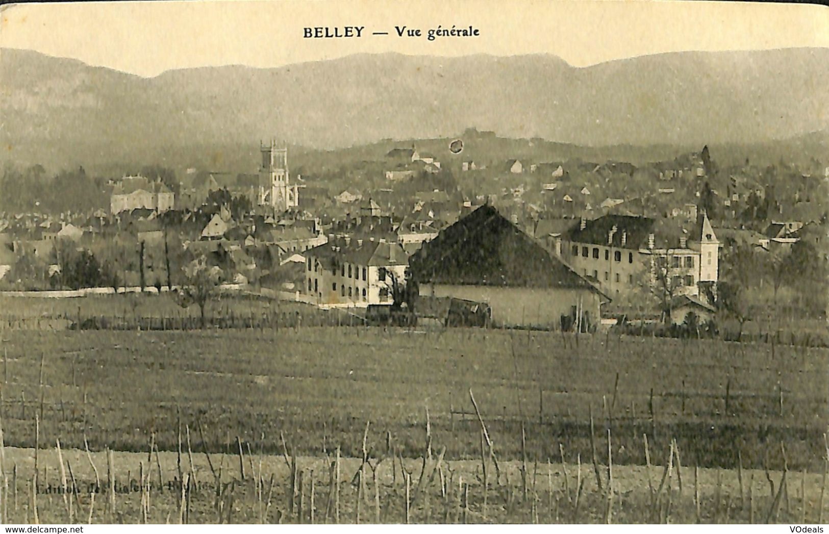 029 302 - CPA - France (01) Ain - Belley - Vue Générale - Belley