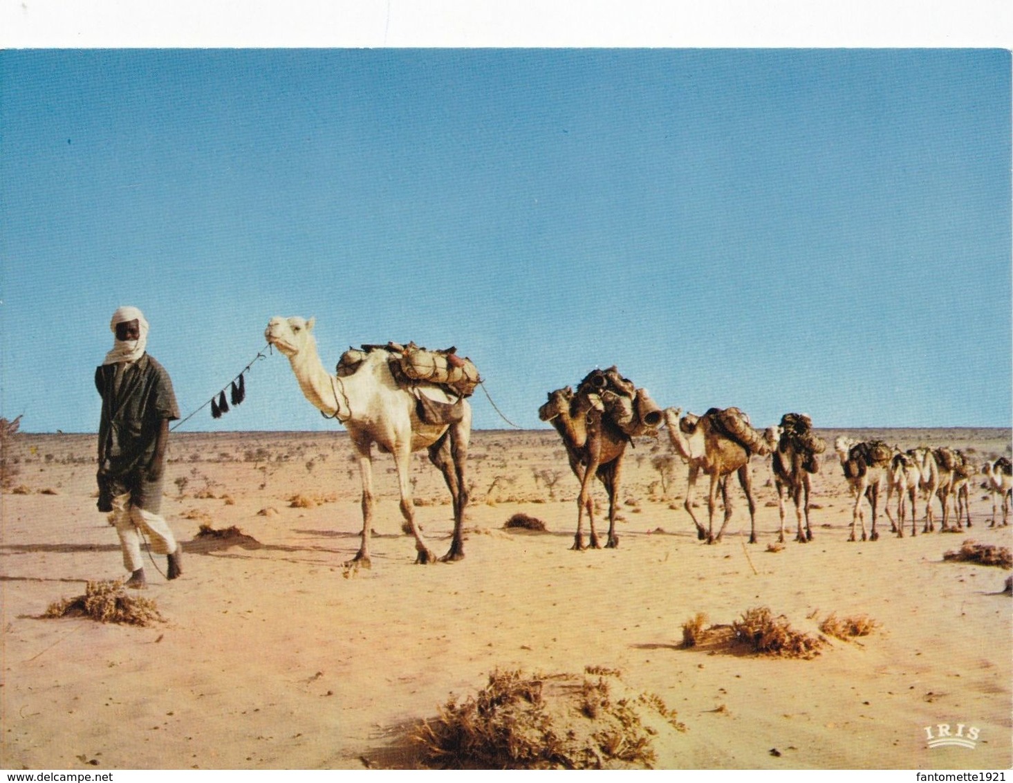 NIGER CARAVANE SUR LA ROUTE D'IN GALL (dil462) - Niger