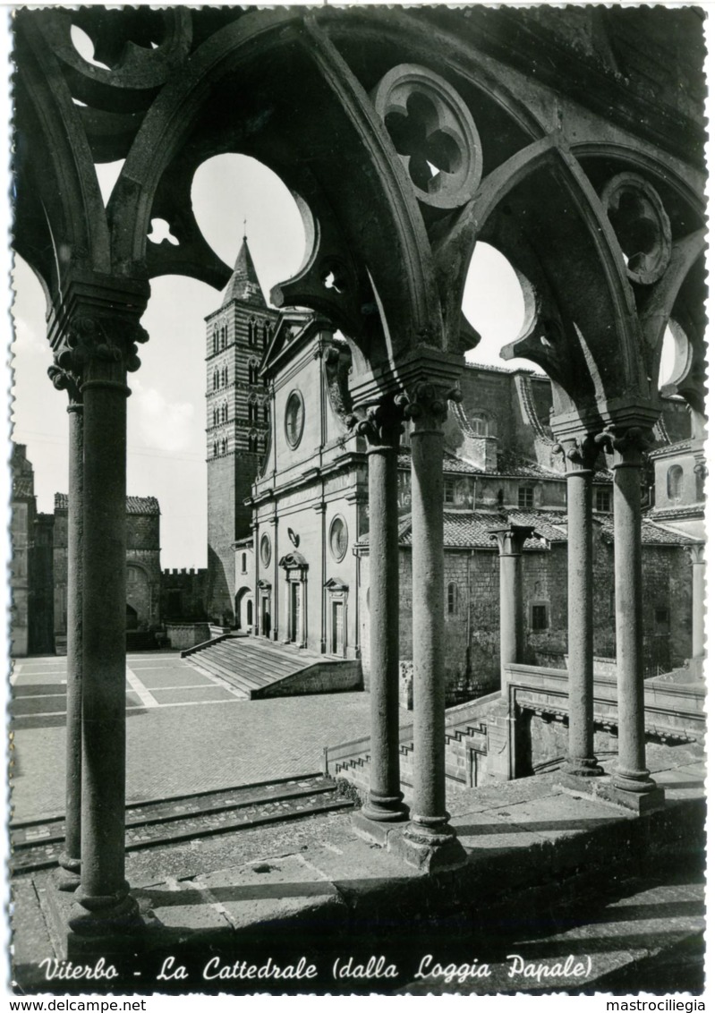 VITERBO  Cattedrale Vista Dalla Loggia Papale - Viterbo