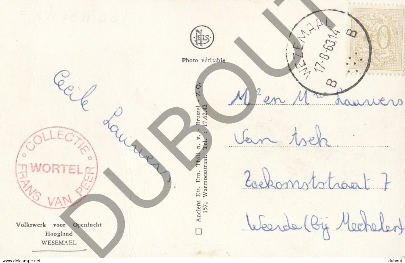 Postkaart - Carte Postale - Wezemaal -  Volkswerk Voor Openlucht - Hoogland  (B560) - Rotselaar