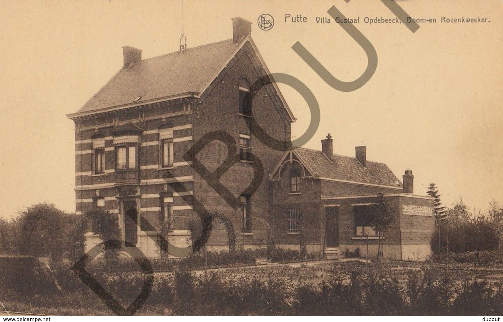 Postkaart - Carte Postale Putte - Villa Gustaaf Opdebeeck - Boom- En Rozenkweker  (B531) - Putte