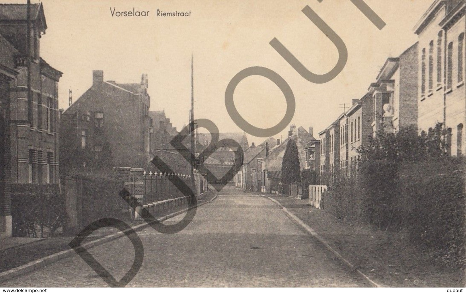 Postkaart - Carte Postale - Vorselaar - Riemstraat  (B518) - Vorselaar