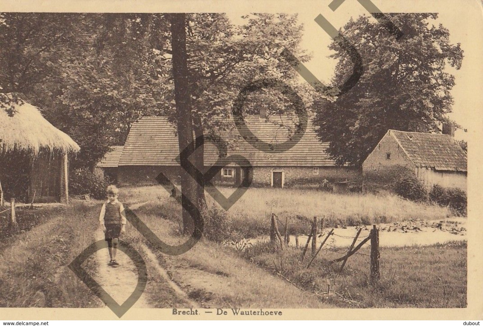 Postkaart - Carte Postale - Brecht - De Wauterhoeve  (B586) - Brecht