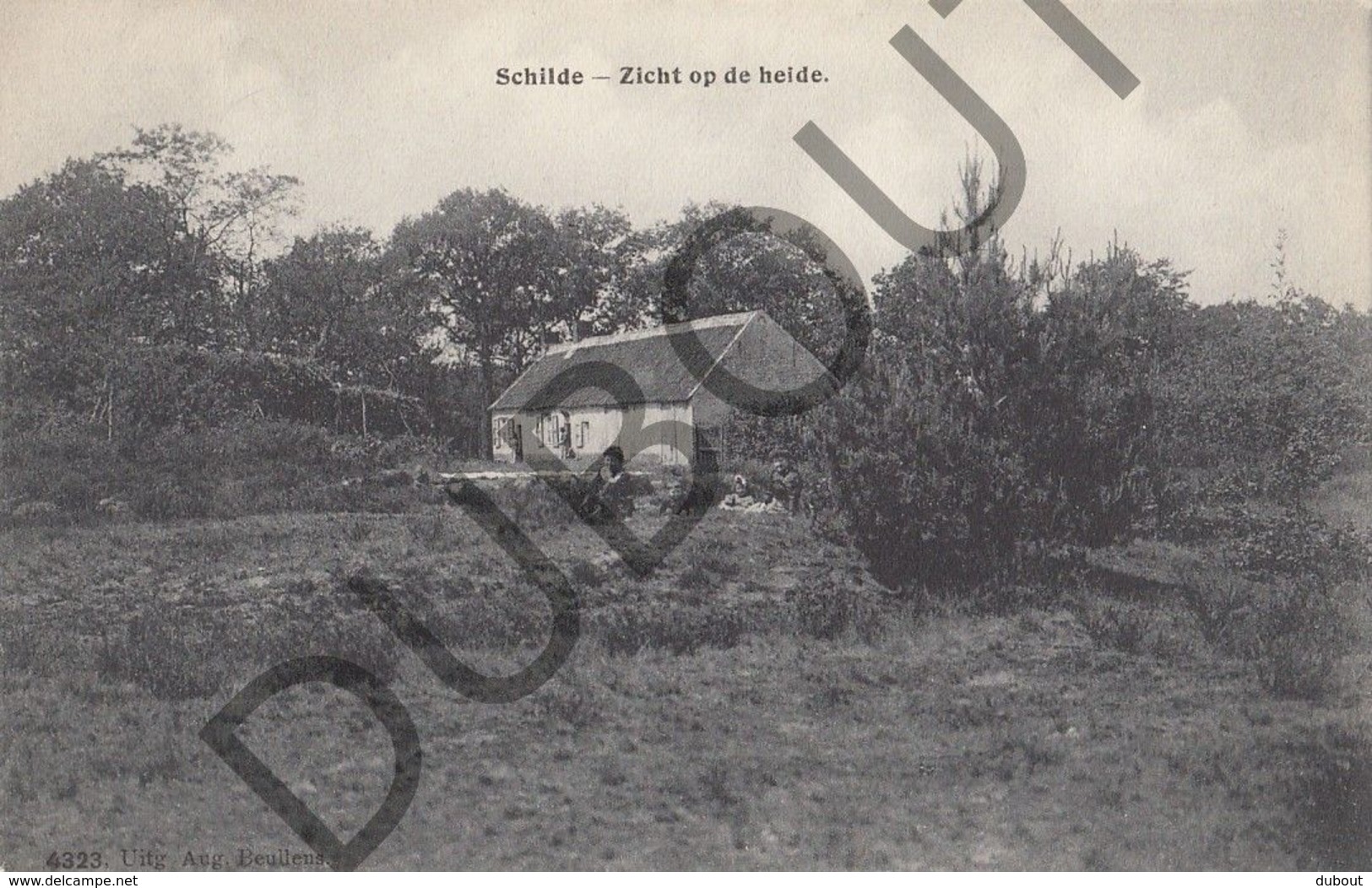 Postkaart - Carte Postale - Schilde - Zicht Op De Heide  (B614) - Schilde