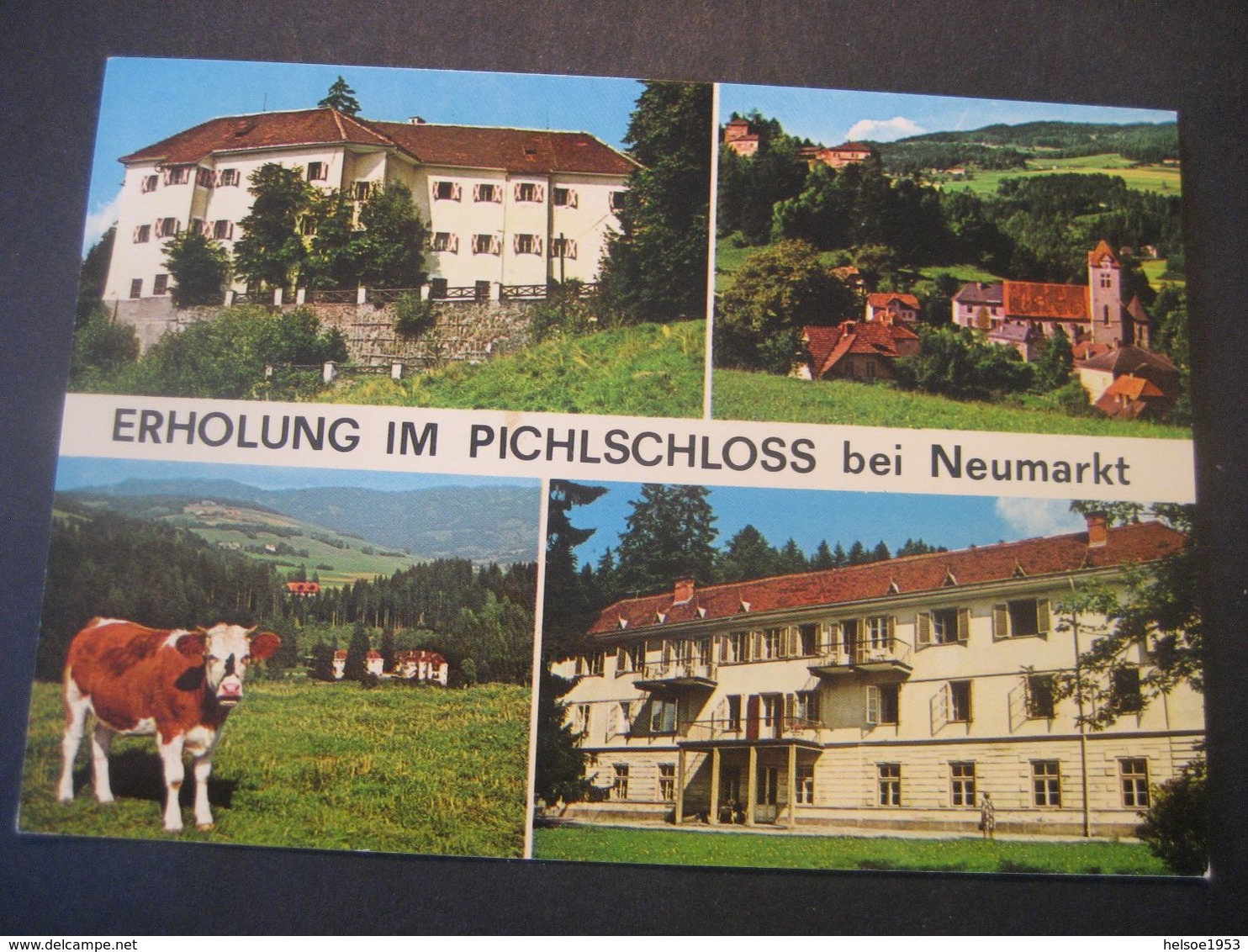 Österreich- AK Pichlschloss Bei Neumarkt, Verlag Lepuschütz - Neumarkt