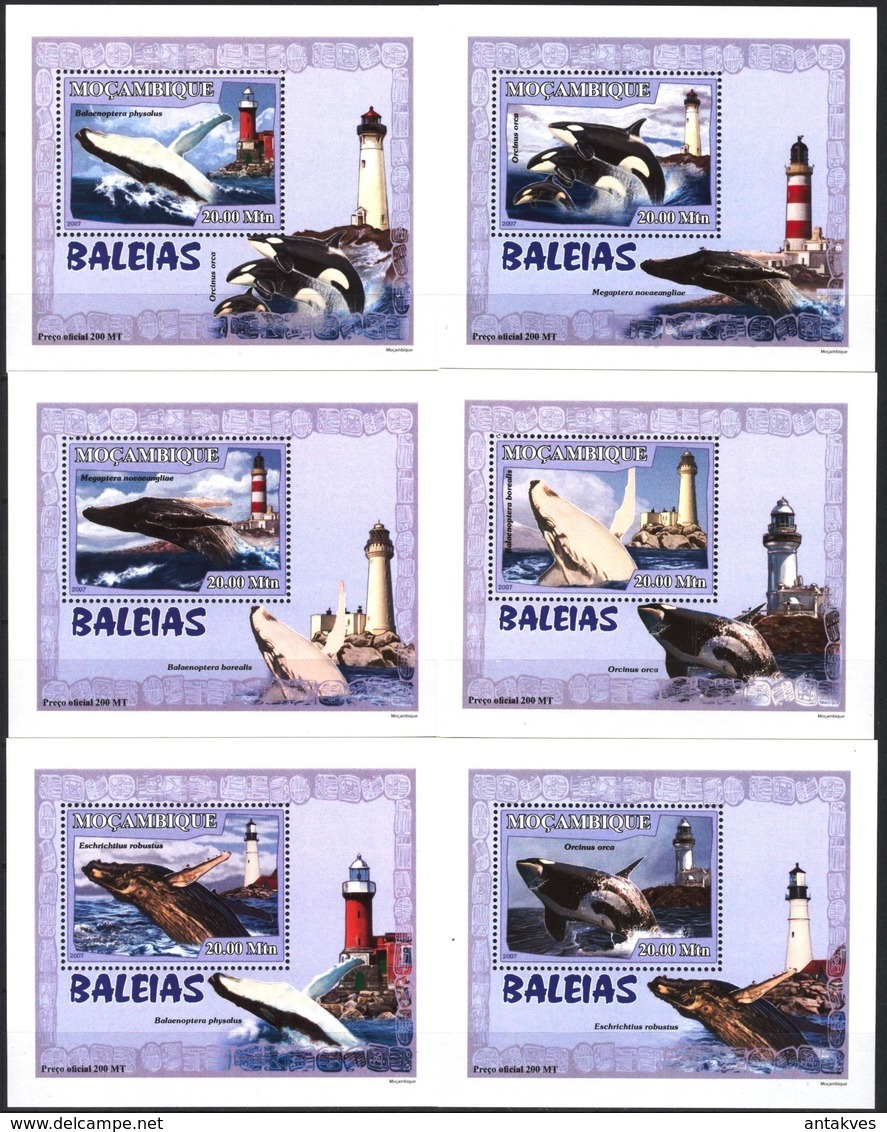 A{142} Mozambique 2007 Whales Lighthouses 6 S/S Deluxe MNH** - Mozambique